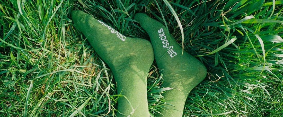 D-Compose - Unsere Socken aus 100% biologisch abbaubaren Materialien - DillySocks