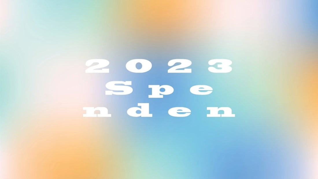 Unsere Spenden 2023 - DillySocks