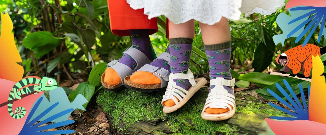 Zoo Zürich x DillySocks® - DillySocks