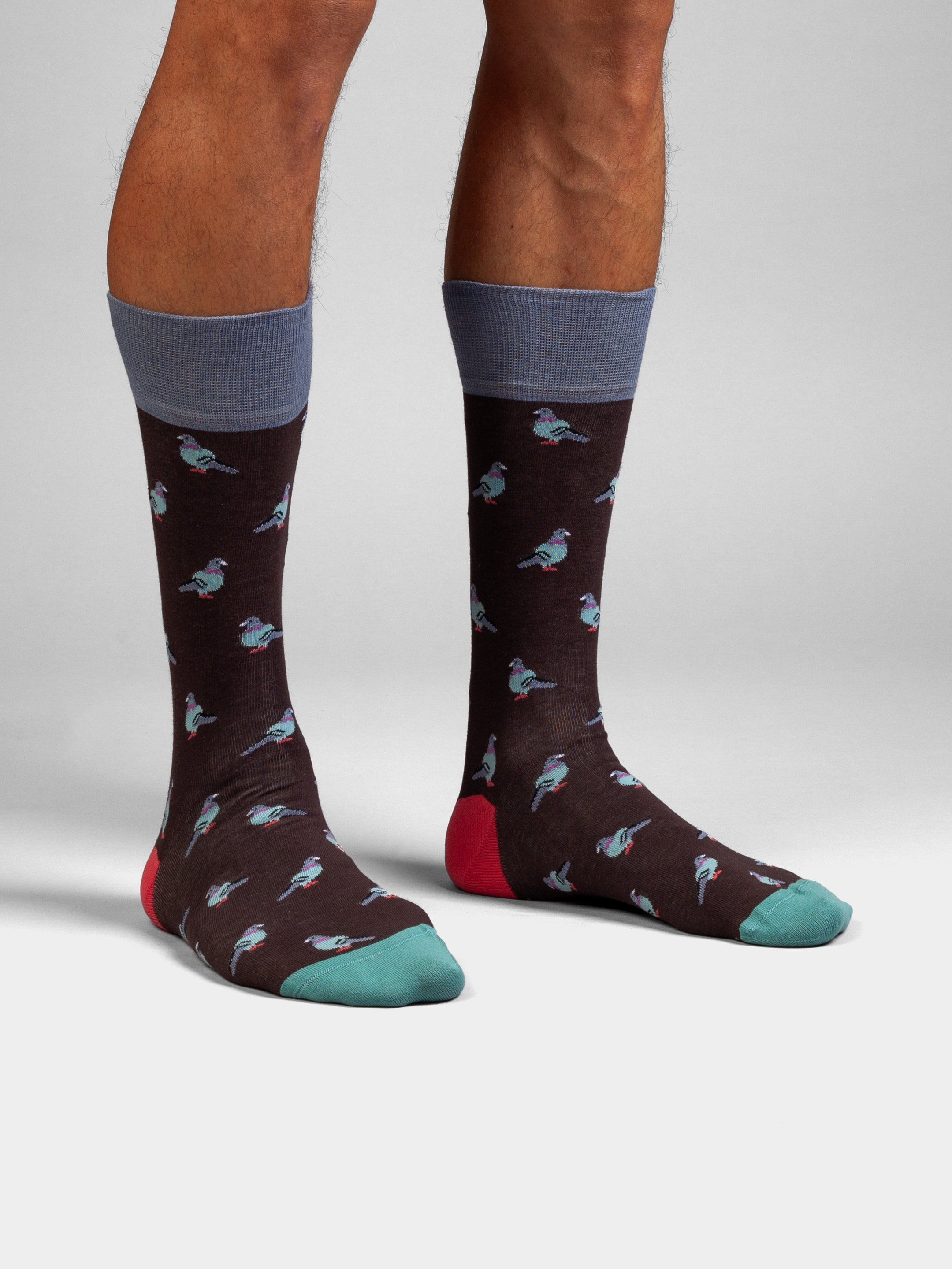 Socken Pigeon Flight von DillySocks