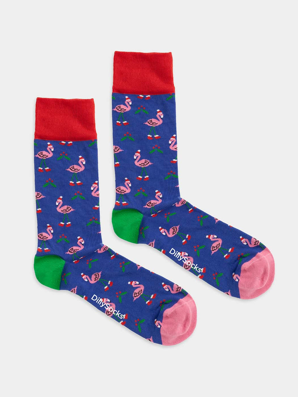 Flamingo Festival