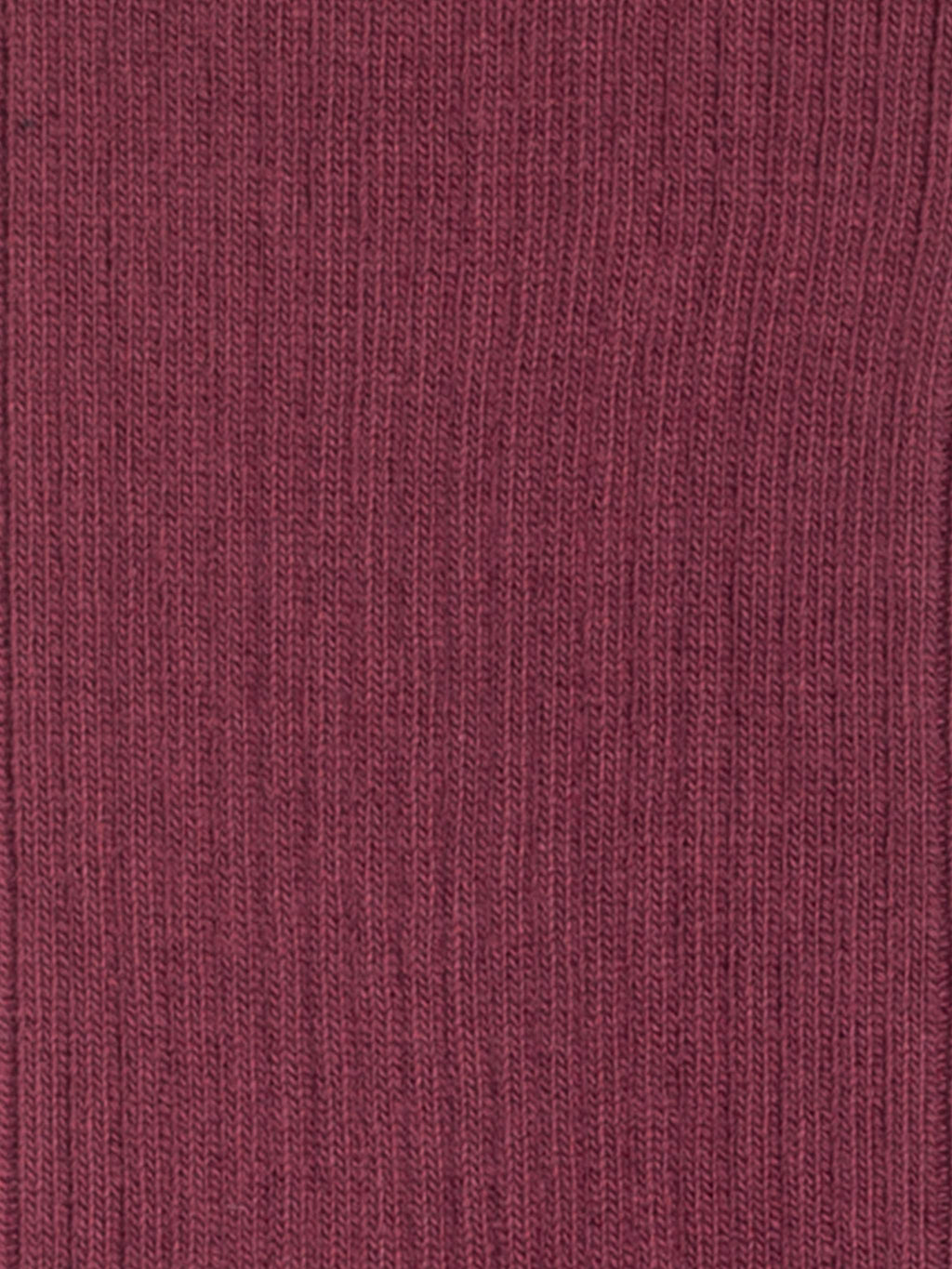 weinerote gerippte Liebhabersocken auf weißem Hintergrund