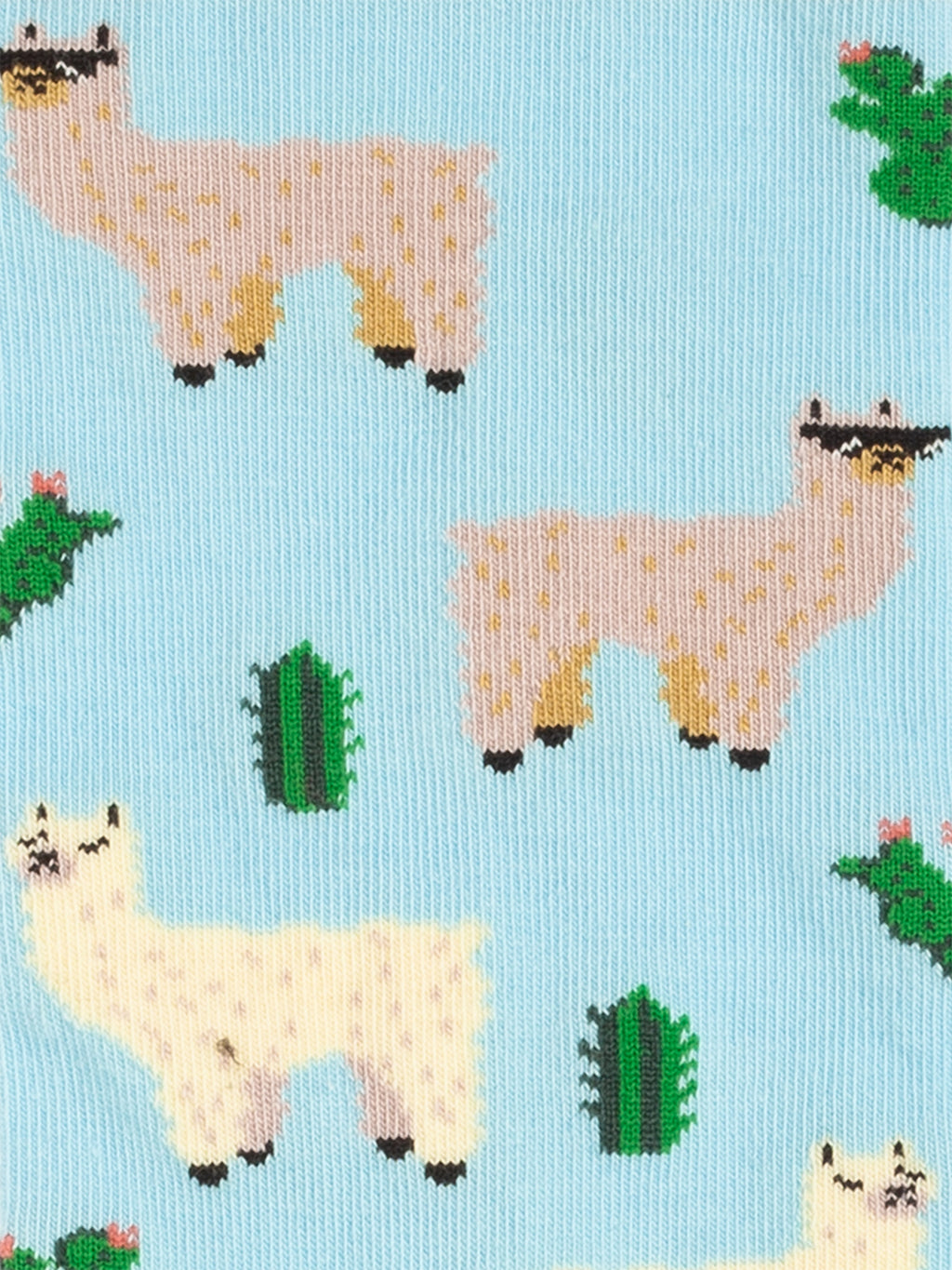 Aventures animales (pack de 3)