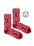 Cozy Aino