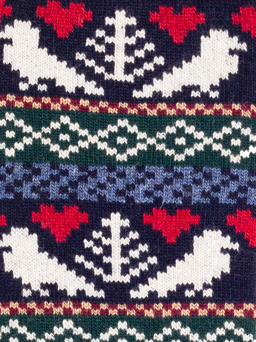 Cozy Selma