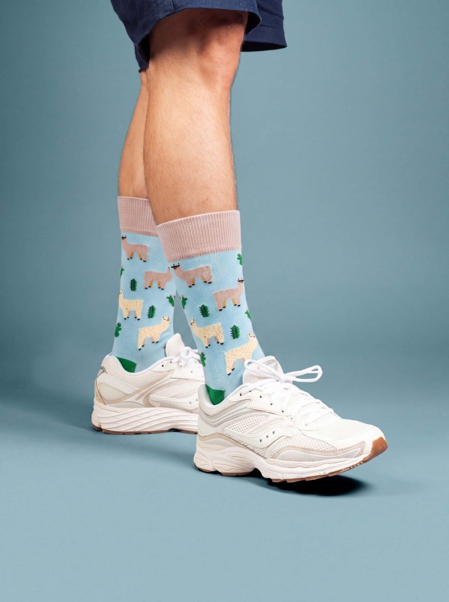 Bunte Socken Alpaca Gang von DillySocks