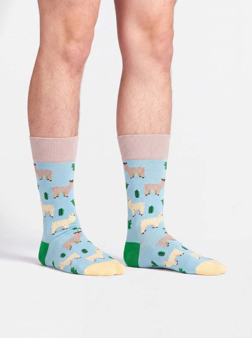 Bunte Socken Alpaca Gang von DillySocks