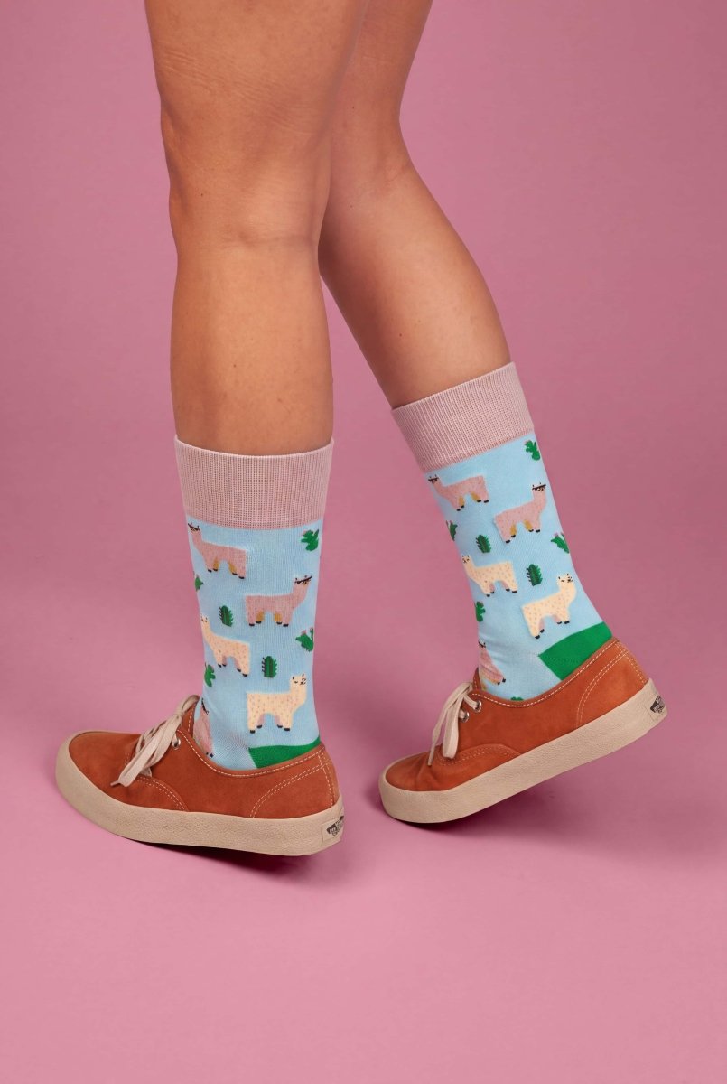 Bunte Socken Alpaca Gang von DillySocks