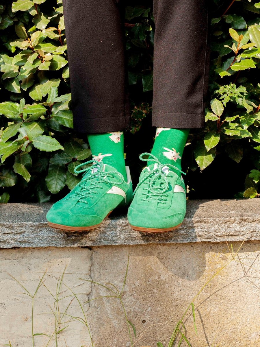 Bunte Socken Alpine Goats von DillySocks
