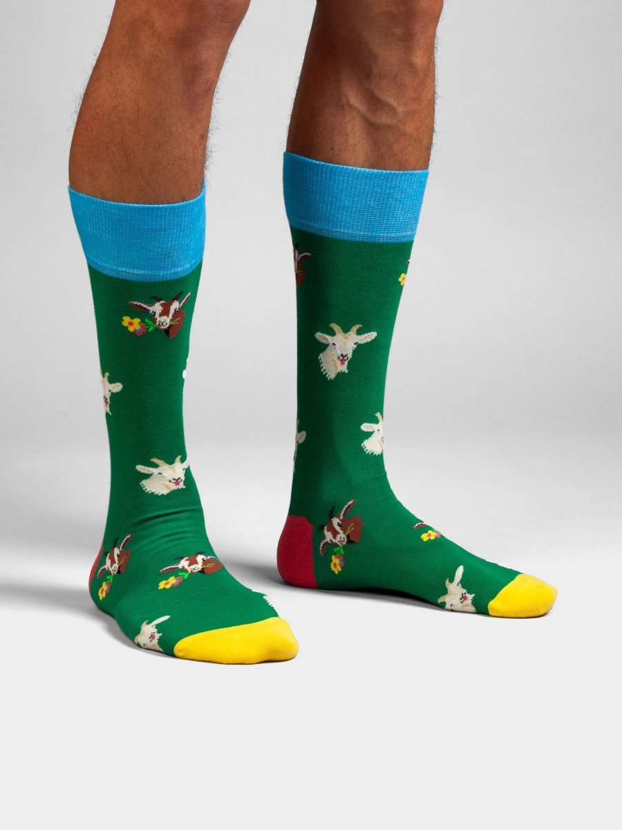 Bunte Socken Alpine Goats von DillySocks