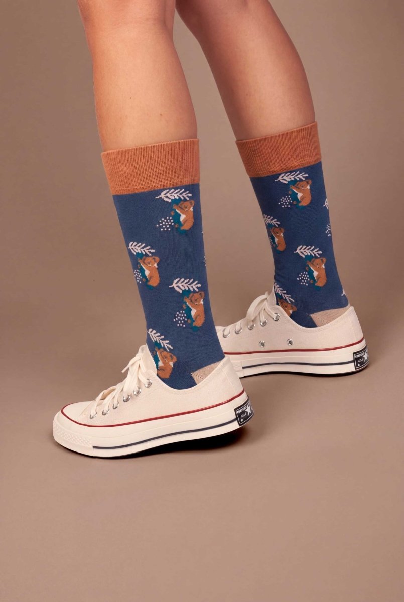 Bunte Socken Comfy Koala von DillySocks
