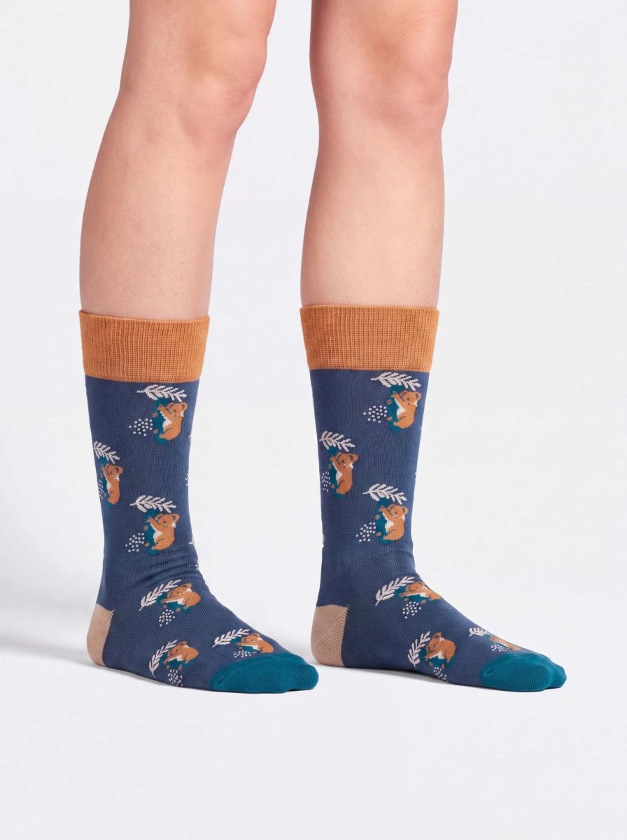 Bunte Socken Comfy Koala von DillySocks