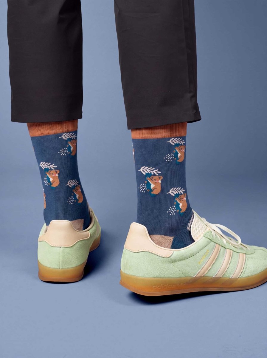 Bunte Socken Comfy Koala von DillySocks