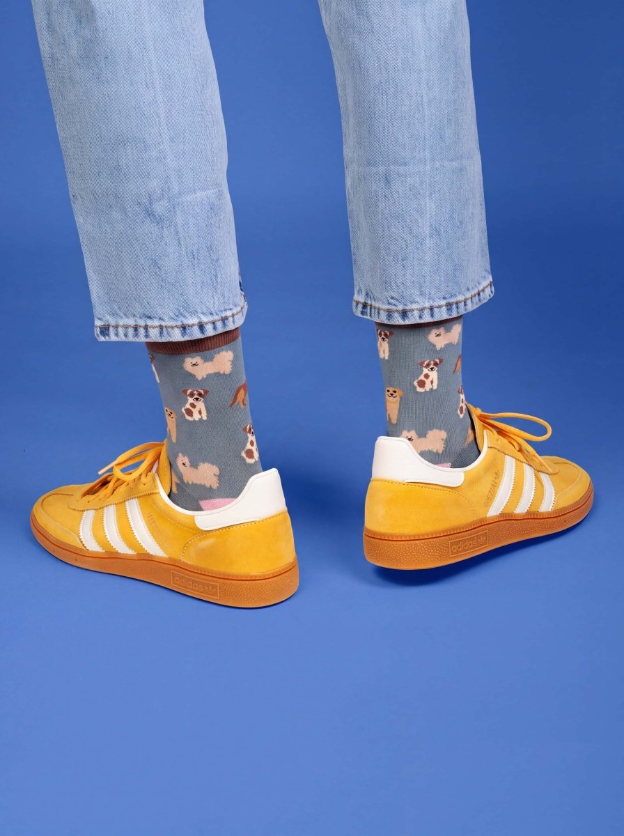Bunte Socken Doggy Dog von DillySocks