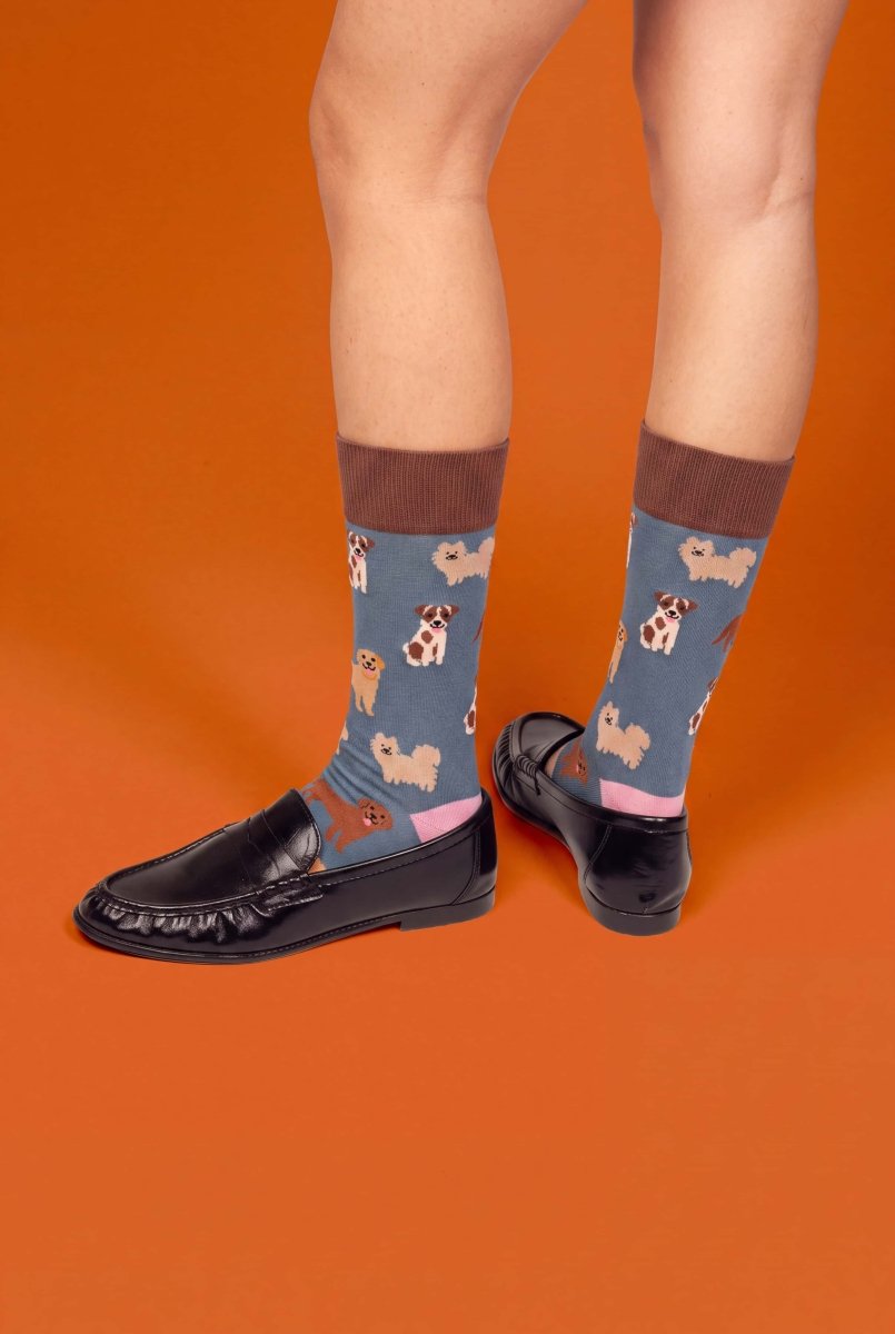 Bunte Socken Doggy Dog von DillySocks