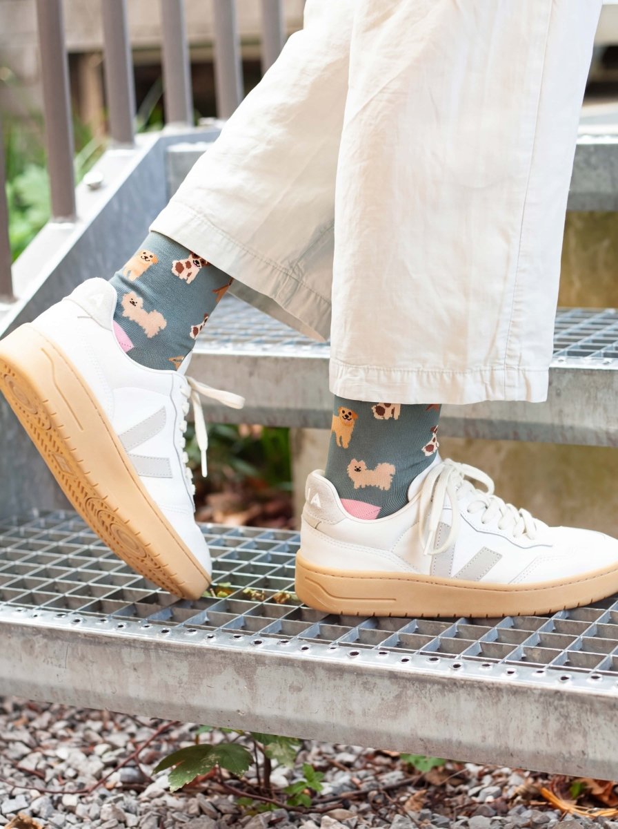 Bunte Socken Doggy Dog von DillySocks