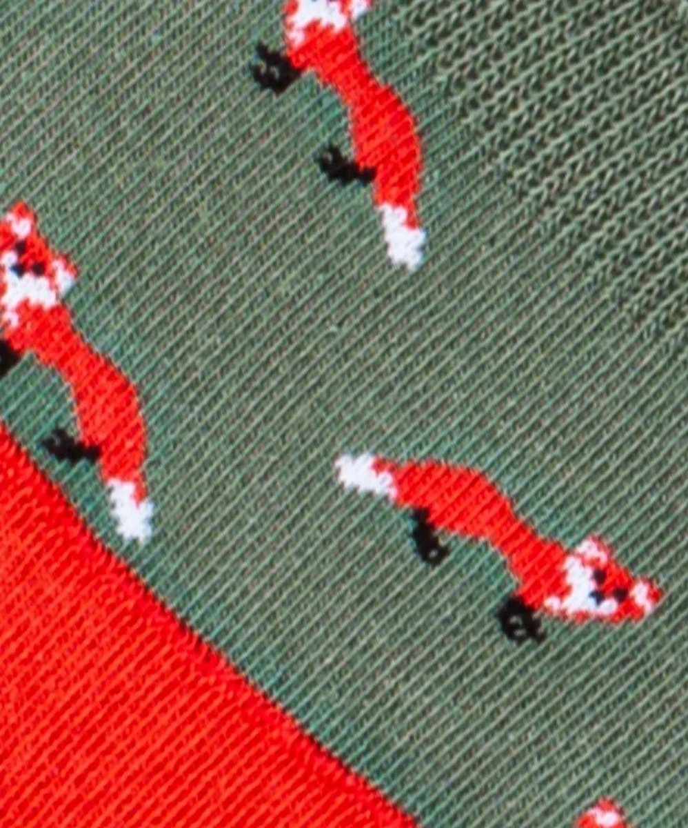 Füsslinge Hidden Fox von DillySocks