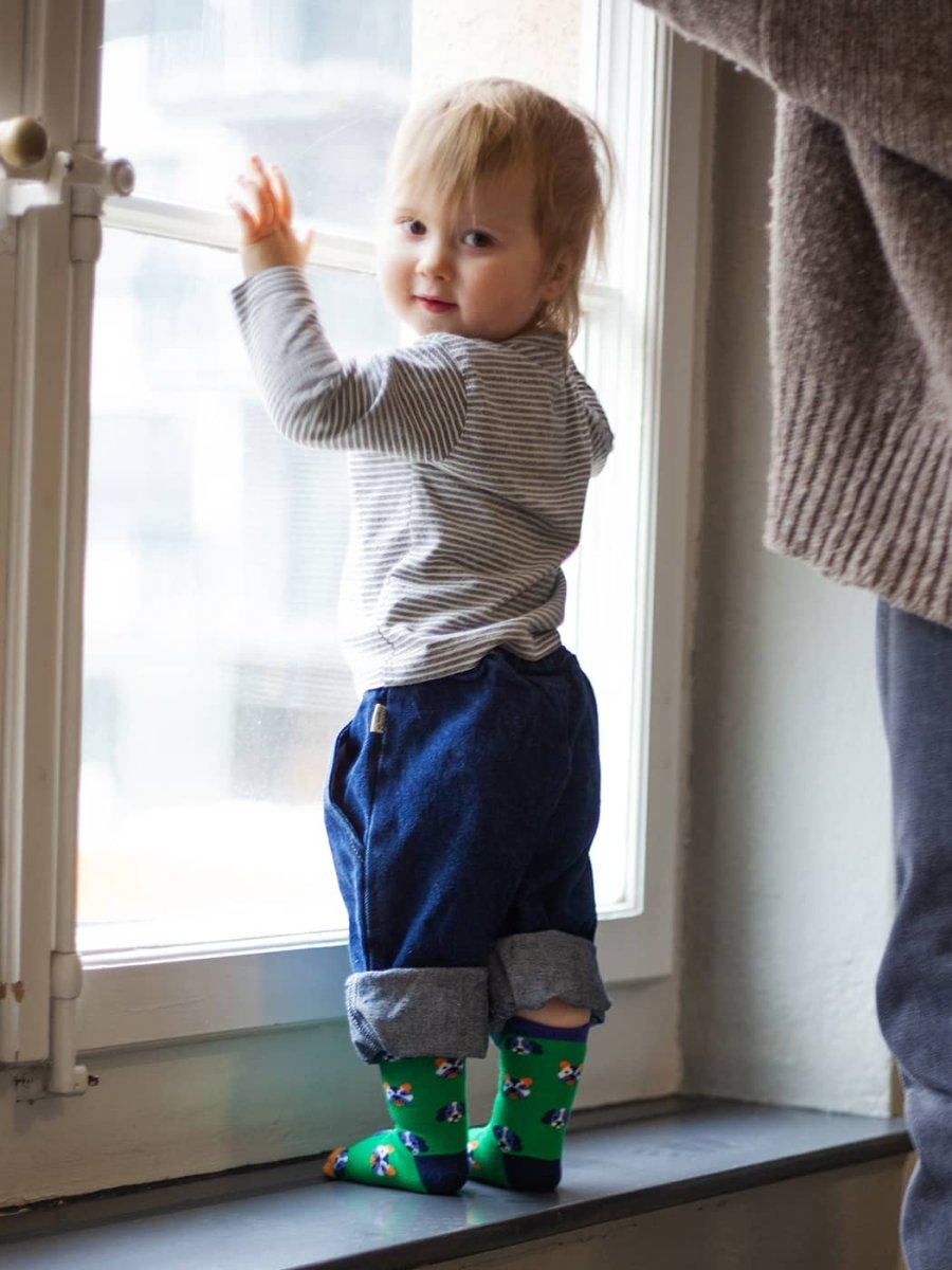 Kindersocken Lil Dog Portraits von DillySocks