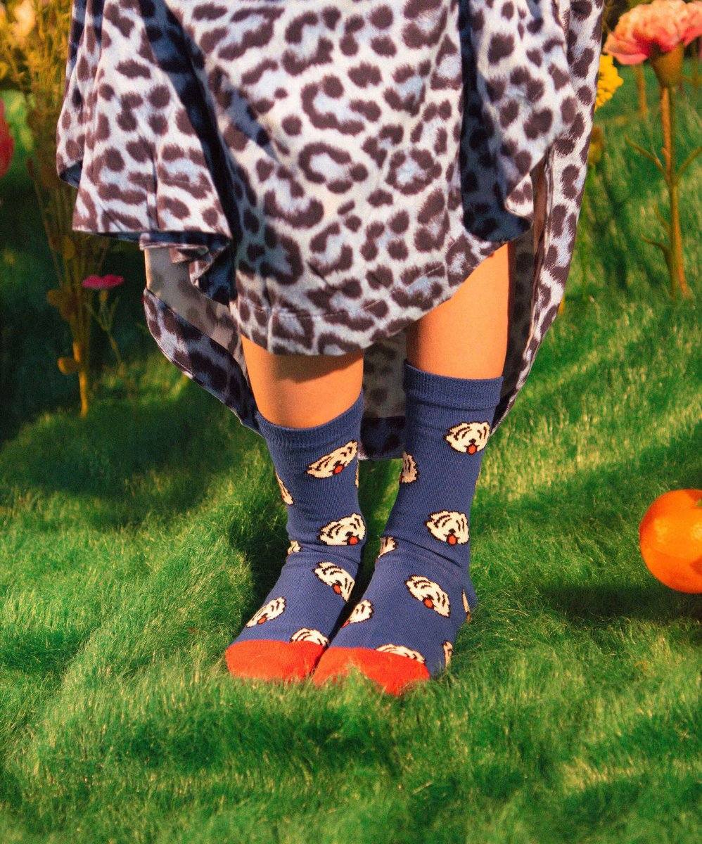 Kindersocken Lil Fido von DillySocks
