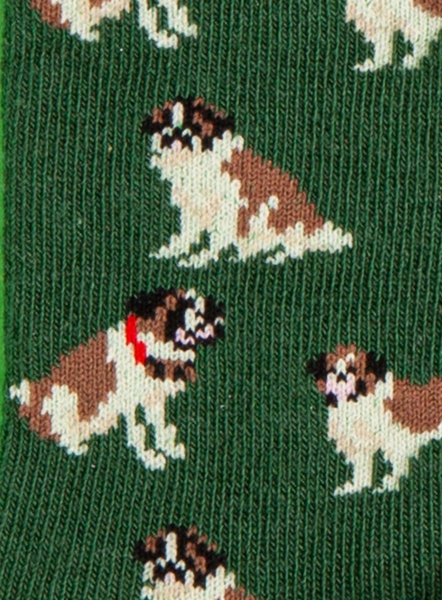 Kindersocken Lil Goose Barry von DillySocks