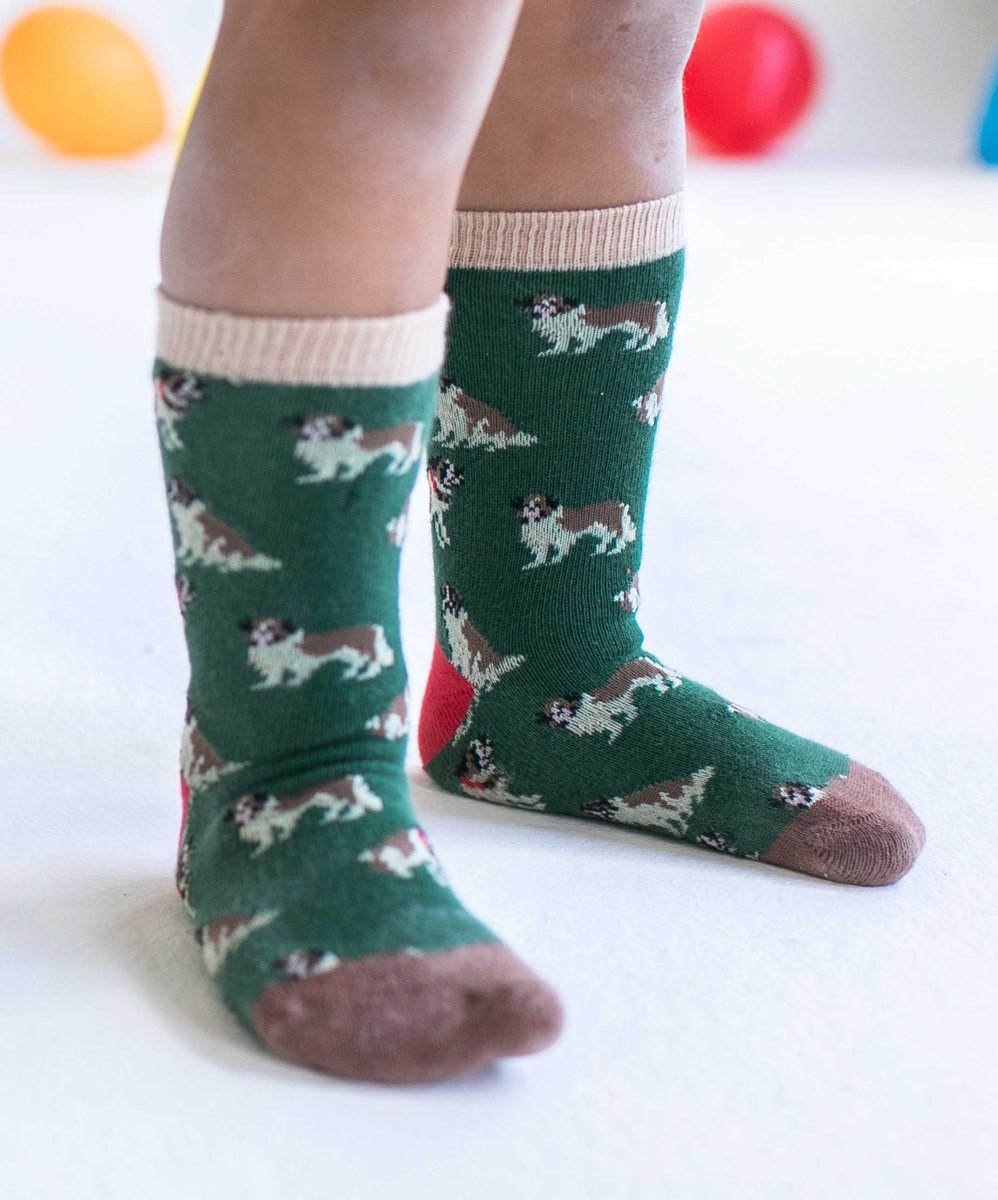 Kindersocken Lil Goose Barry von DillySocks