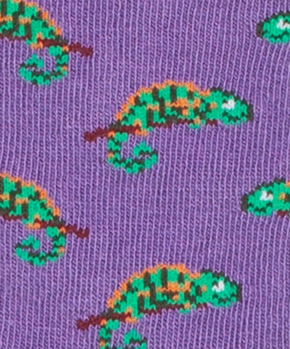 Kindersocken Lil Masoala Charmeleon von DillySocks