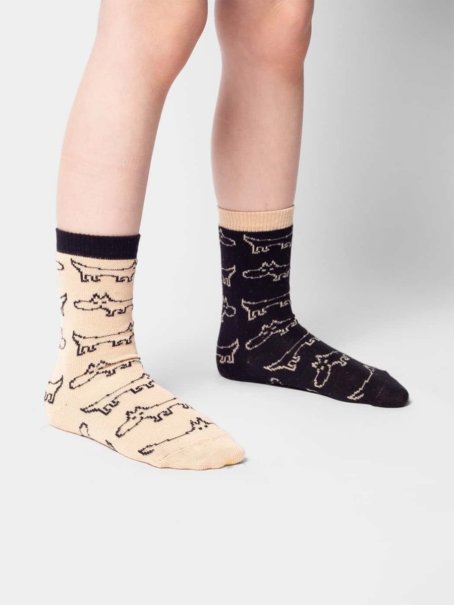 Kindersocken Lil Sausage Dog von DillySocks