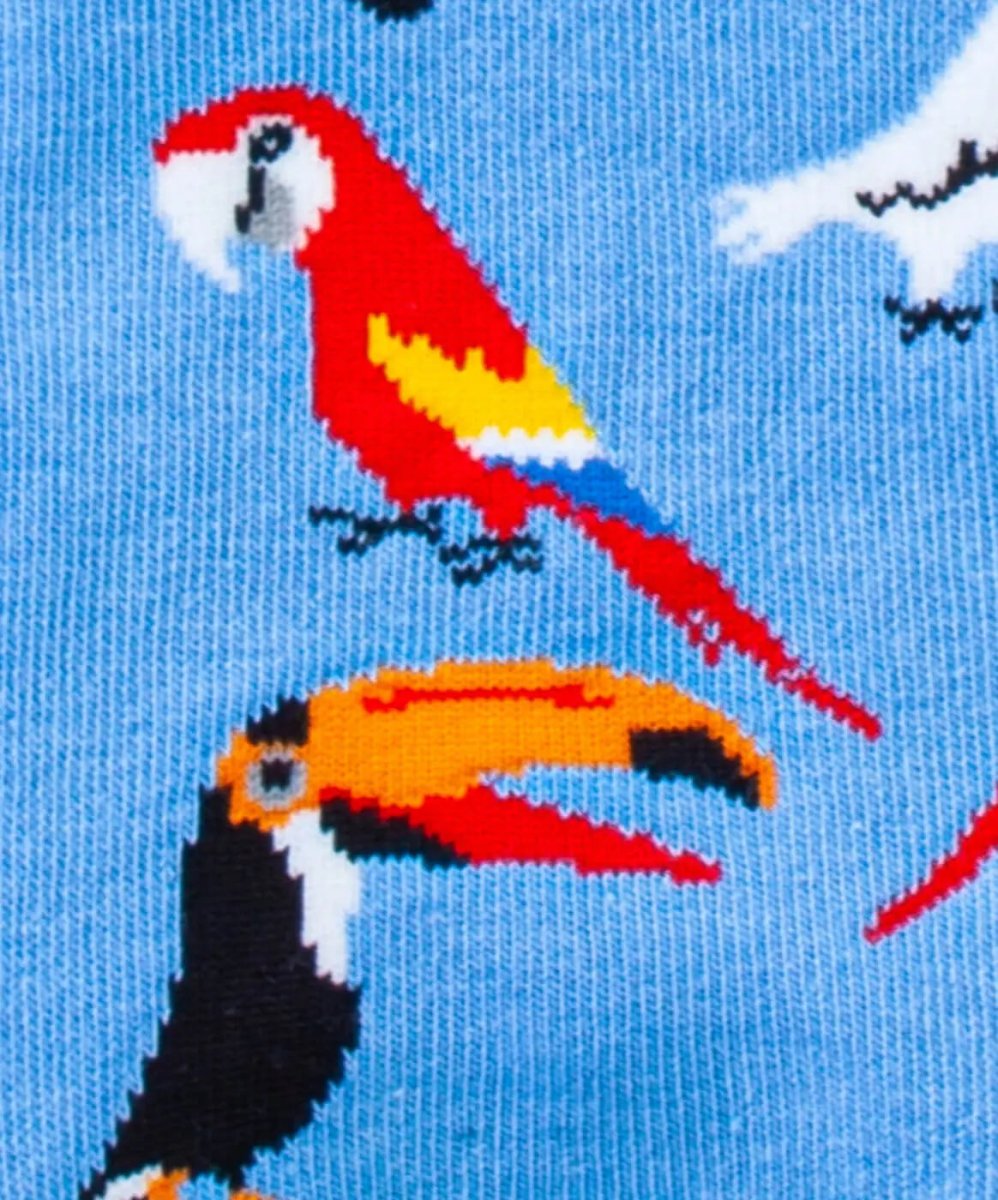 Sneakersocken Short Aviary von DillySocks