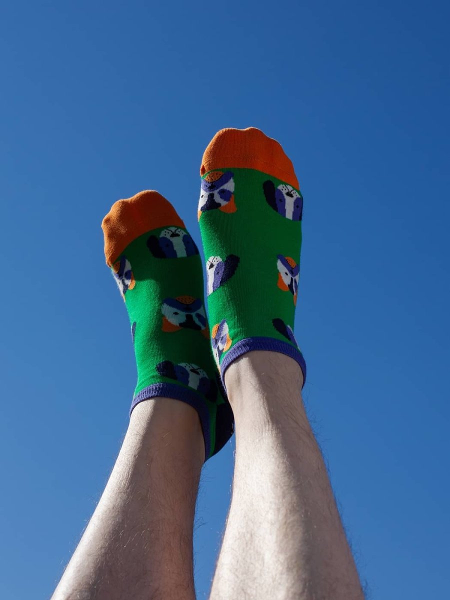 Sneakersocken Short Dog Portraits von DillySocks