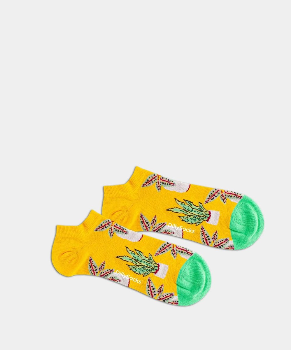 Sneakersocken Short Pottery von DillySocks