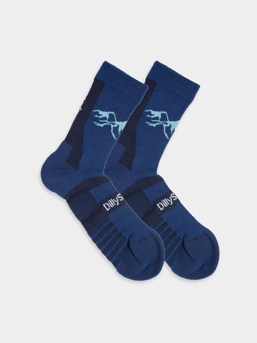 Socken Active Merino Water von DillySocks
