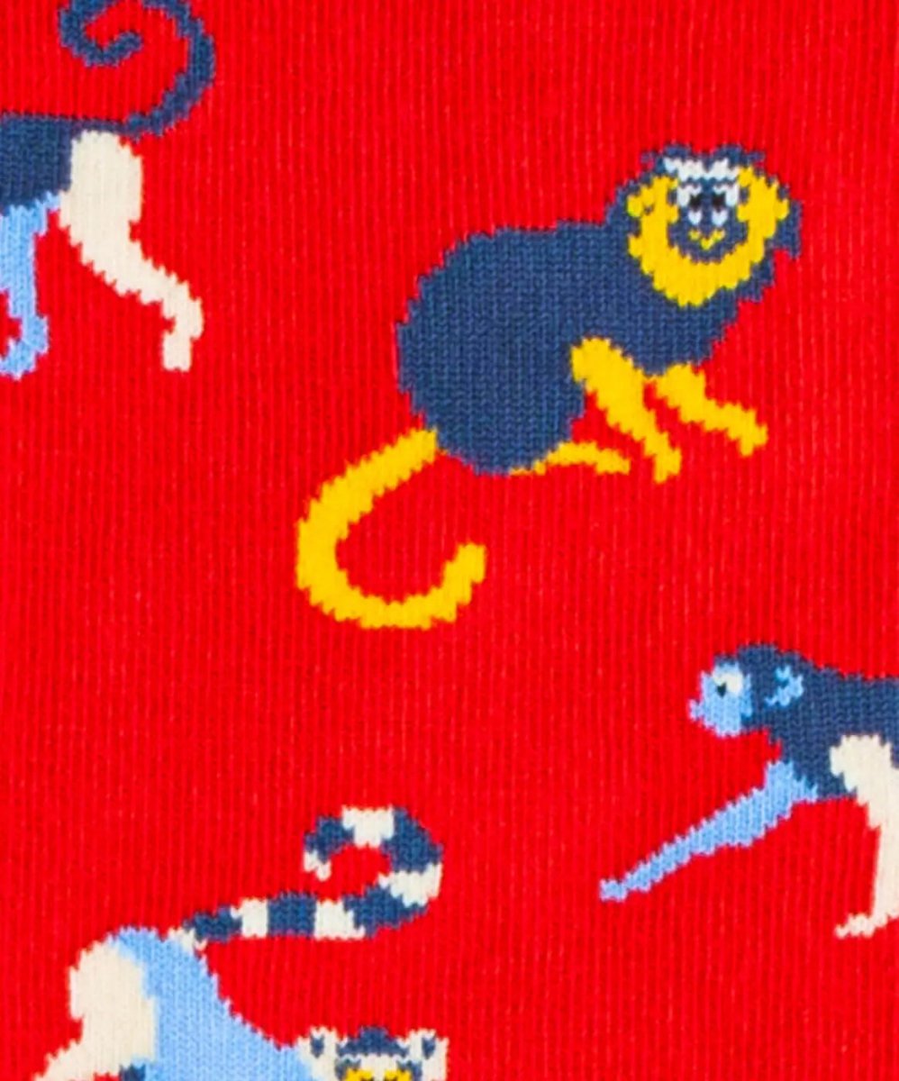 Socken Baboon Fire von DillySocks