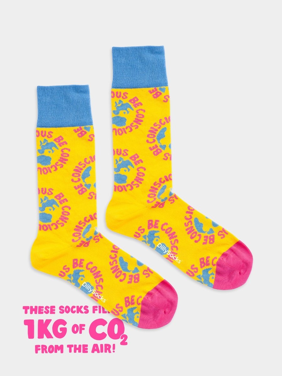 Socken Be Conscious von DillySocks