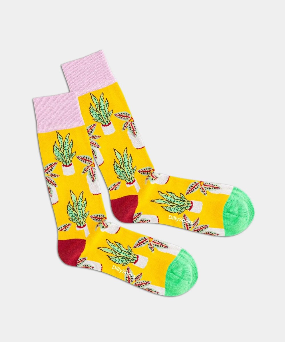 Socken Beach Pottery von DillySocks