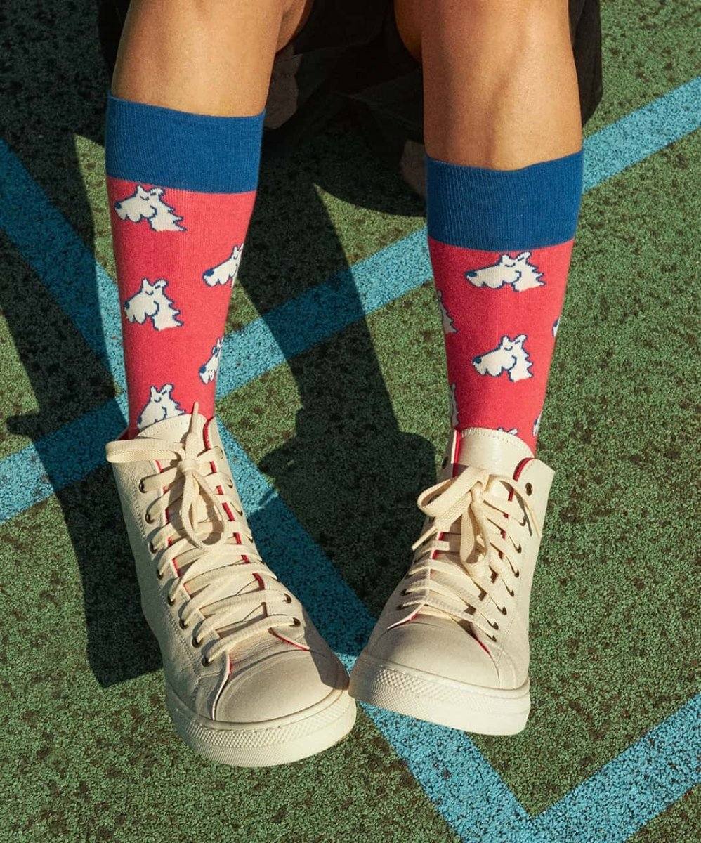 Cooler Hund mit Socken bei kaltem Wetter draußen