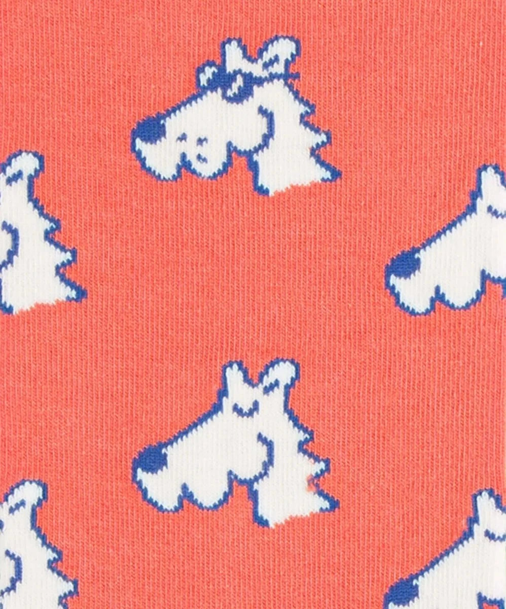 Cooler Hund mit Socken bei kaltem Wetter draußen