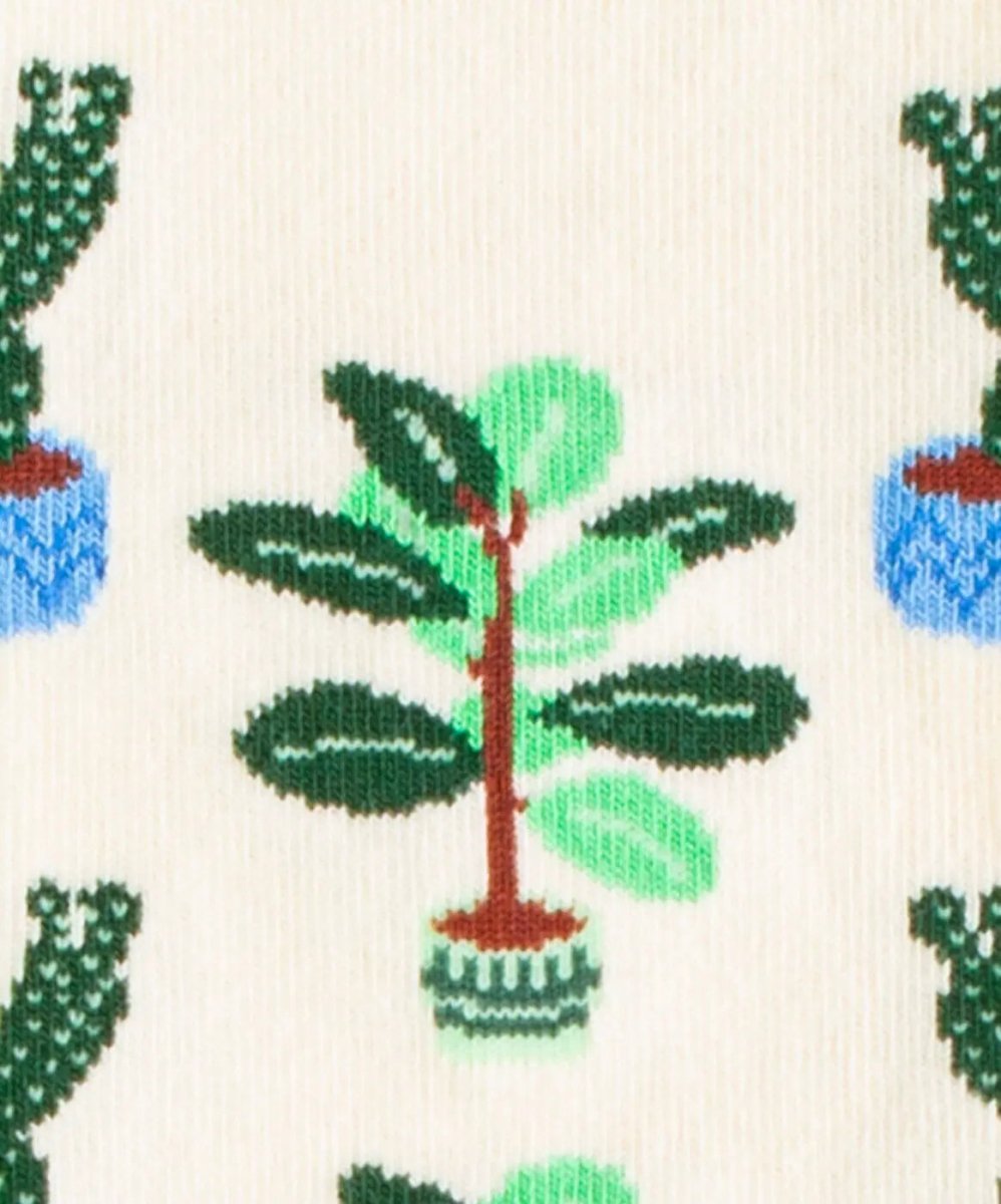 Socken Cream Plants von DillySocks