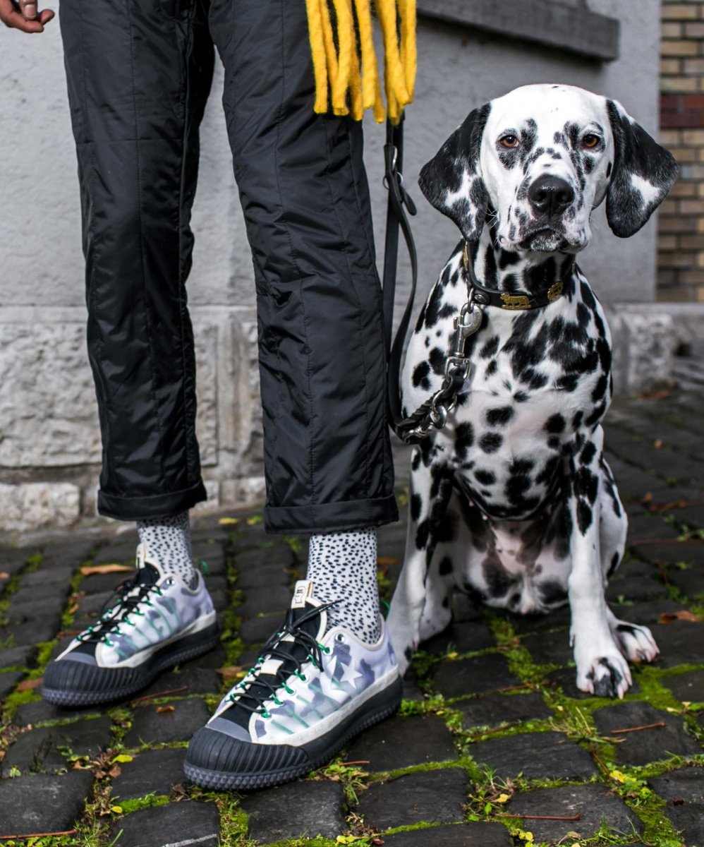 Socken Dalmatian von DillySocks