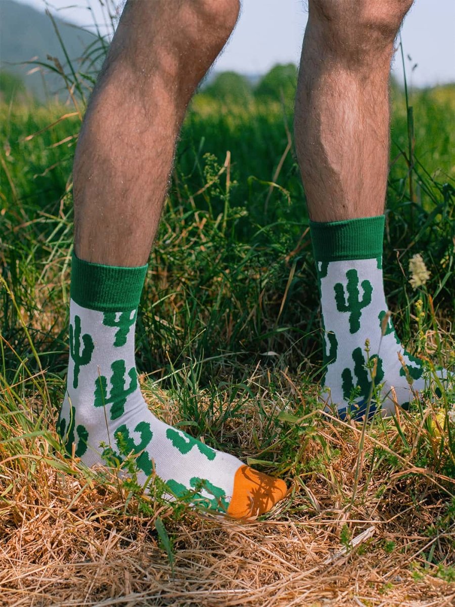 Socken Desert Plants von DillySocks