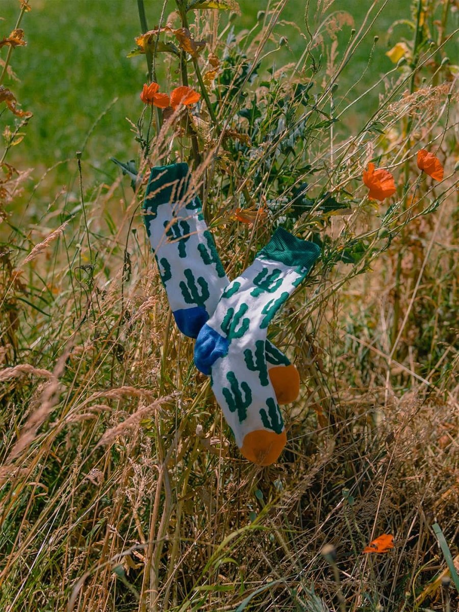 Socken Desert Plants von DillySocks