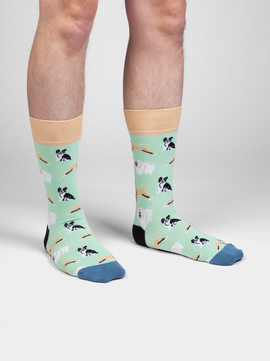 Socken Dog Squad von DillySocks