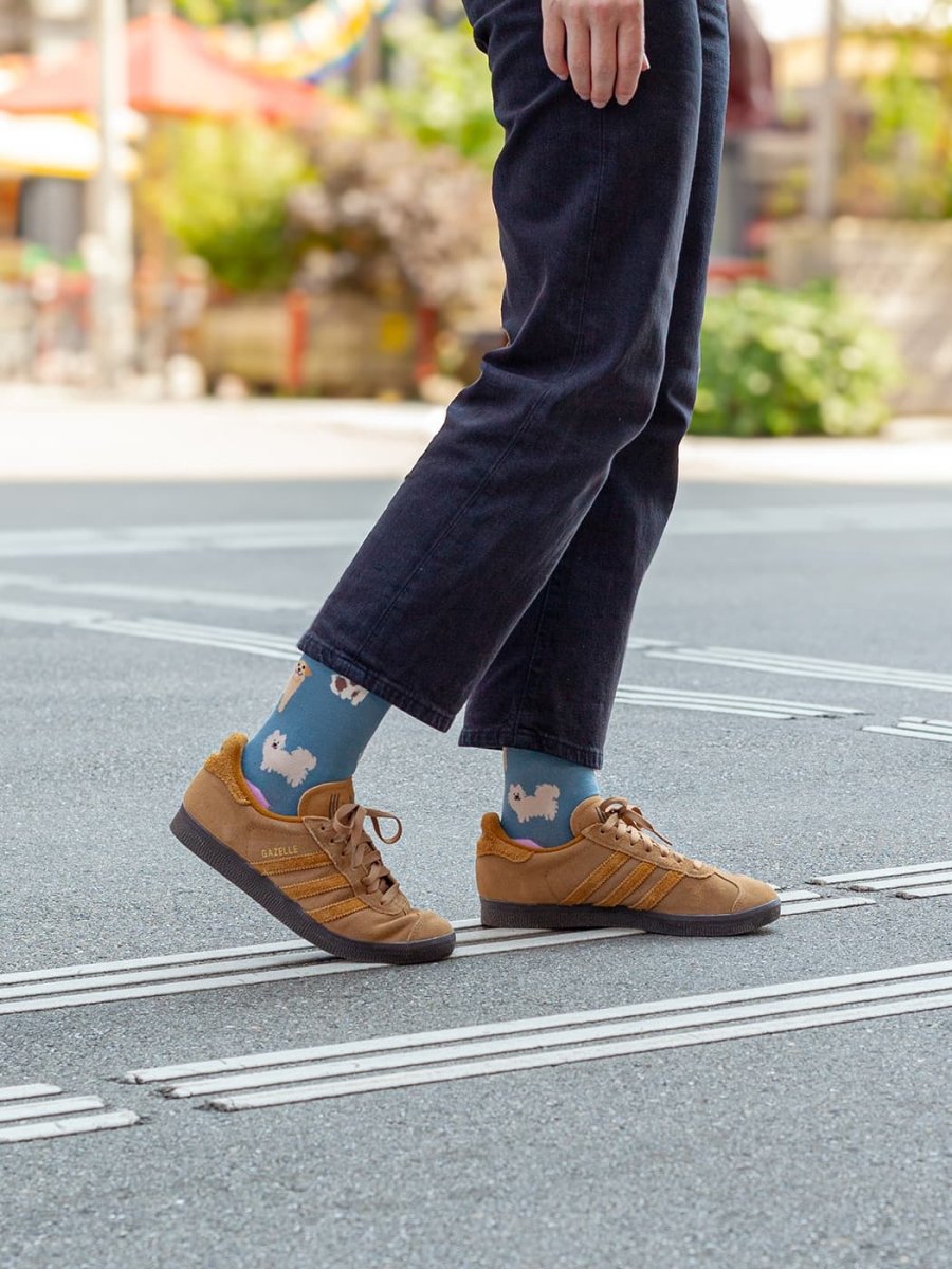 Socken Doggy Dog von DillySocks