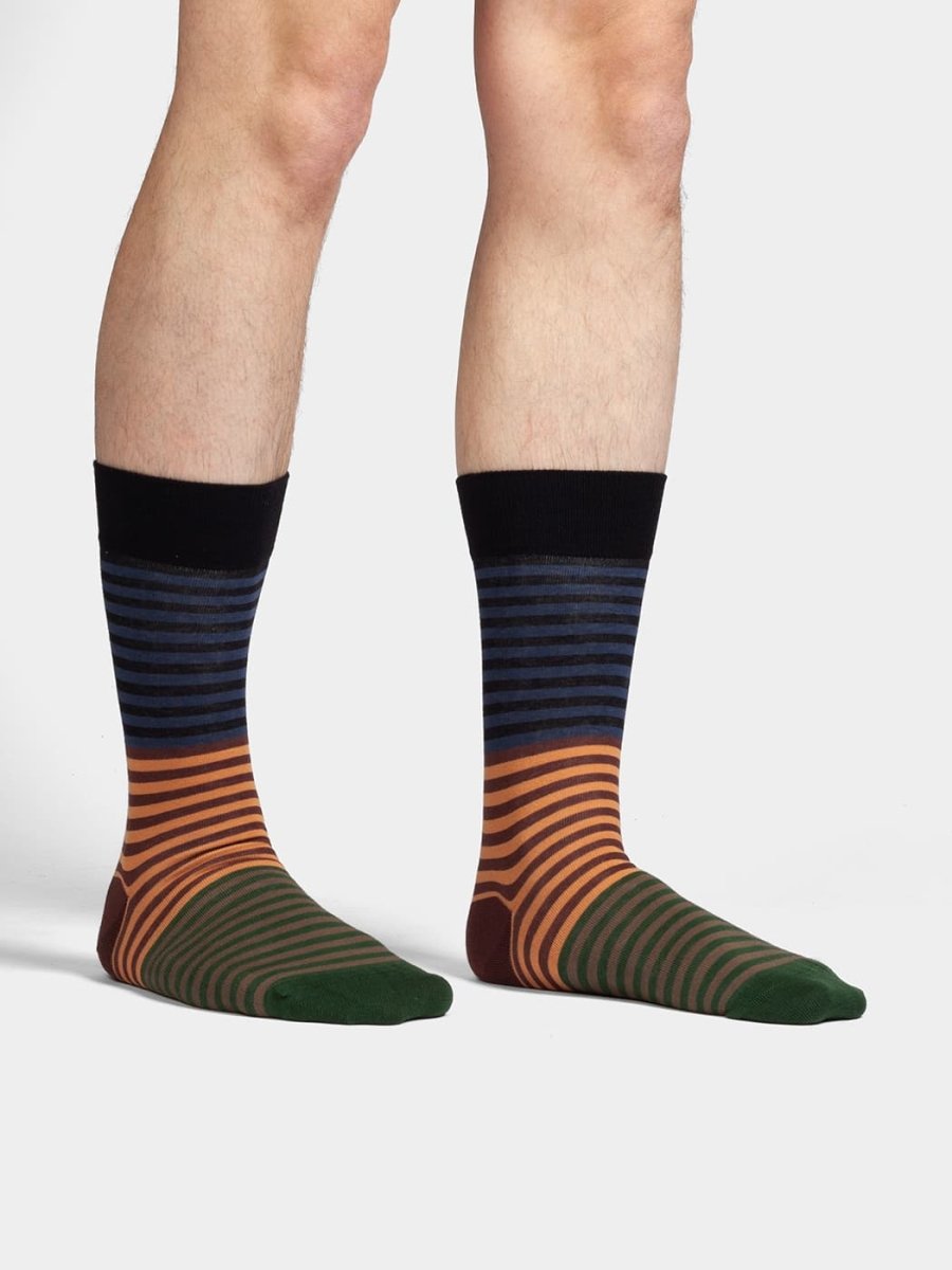 Socken Earthy Stripes von DillySocks