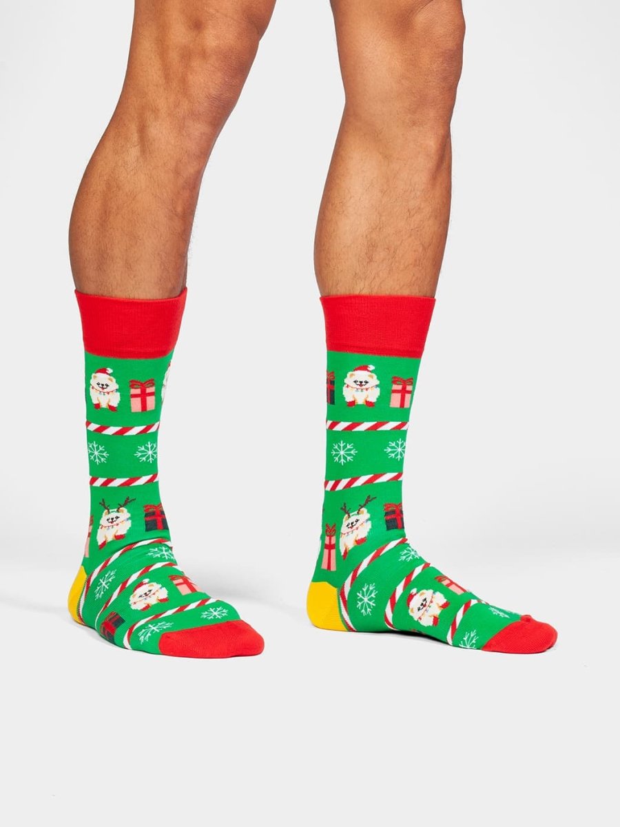 Socken Festive Pomeranian von DillySocks