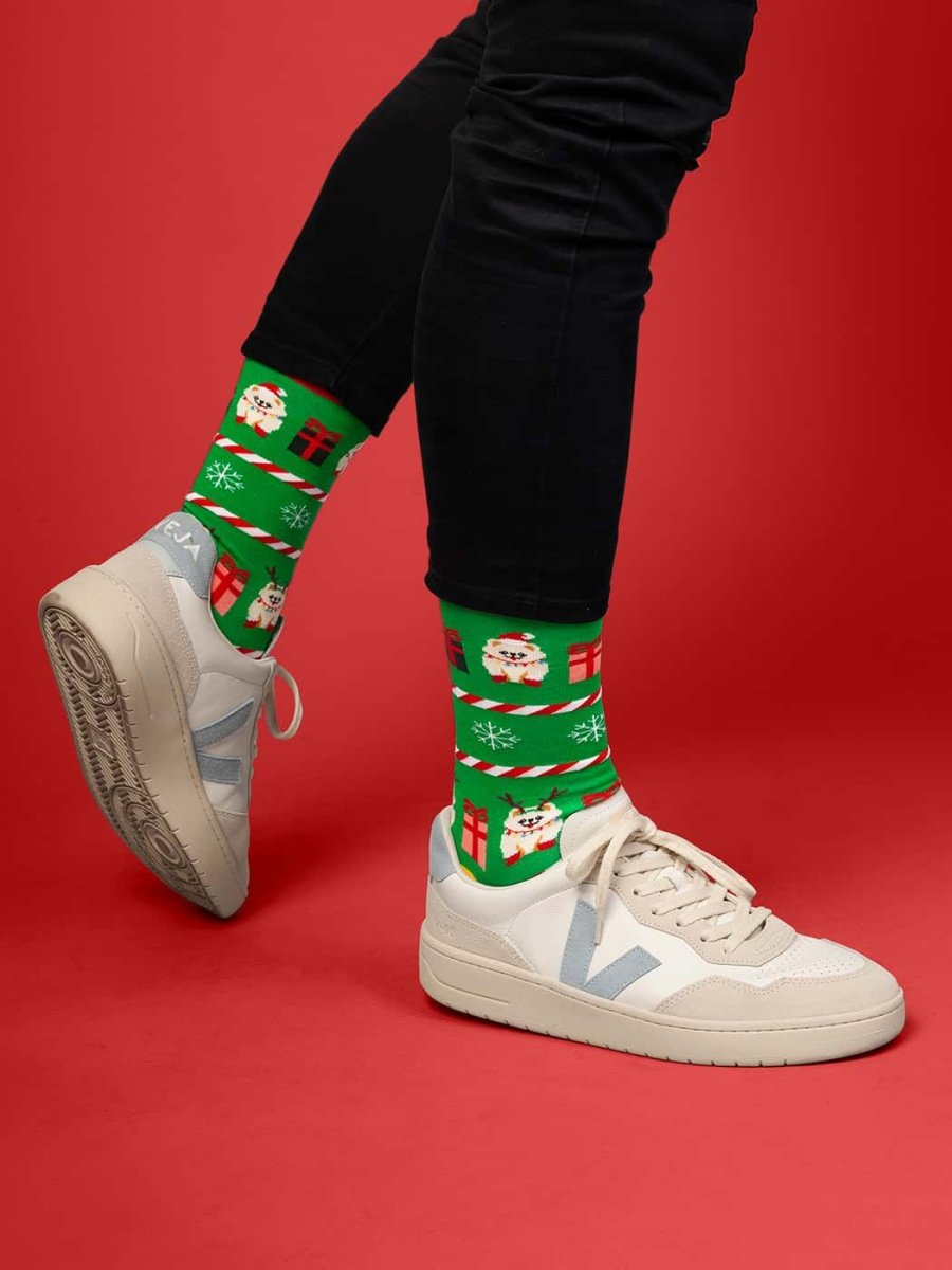 Socken Festive Pomeranian von DillySocks