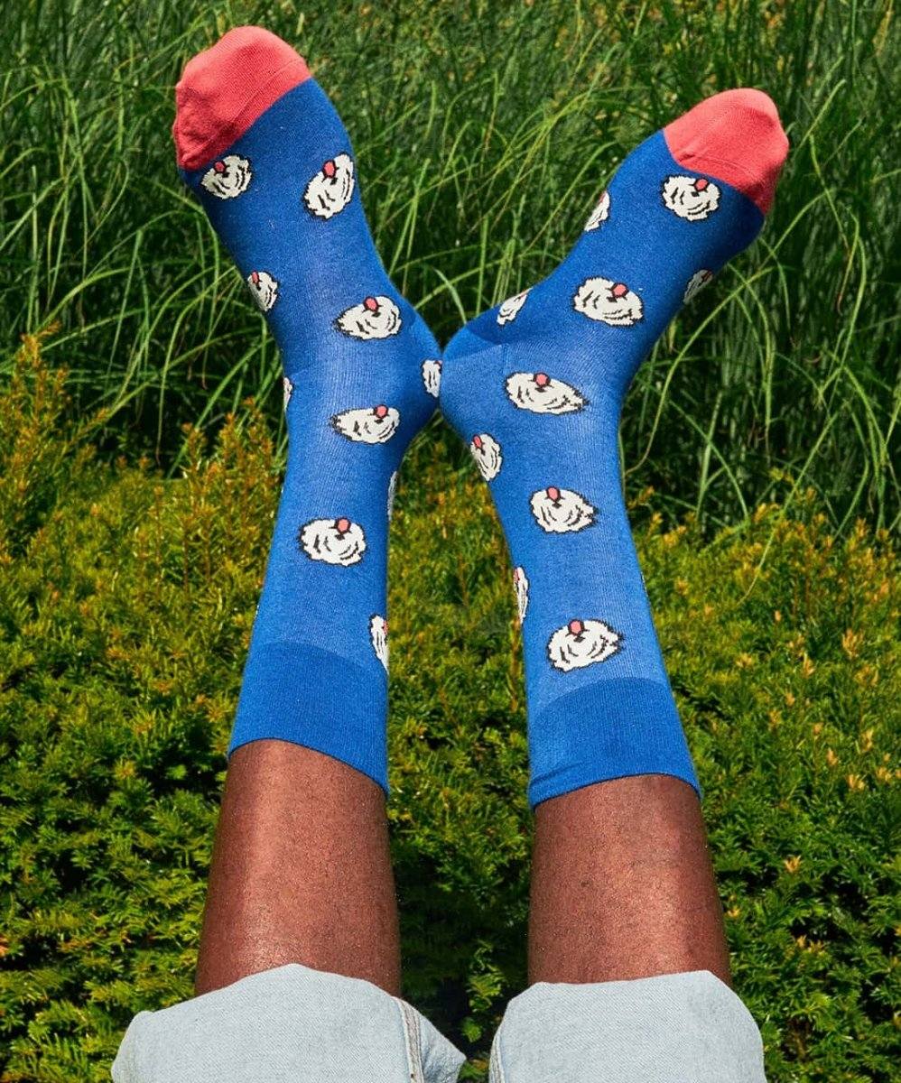 Fido Hund mit Spezialsocken, die Gehorsam fördern