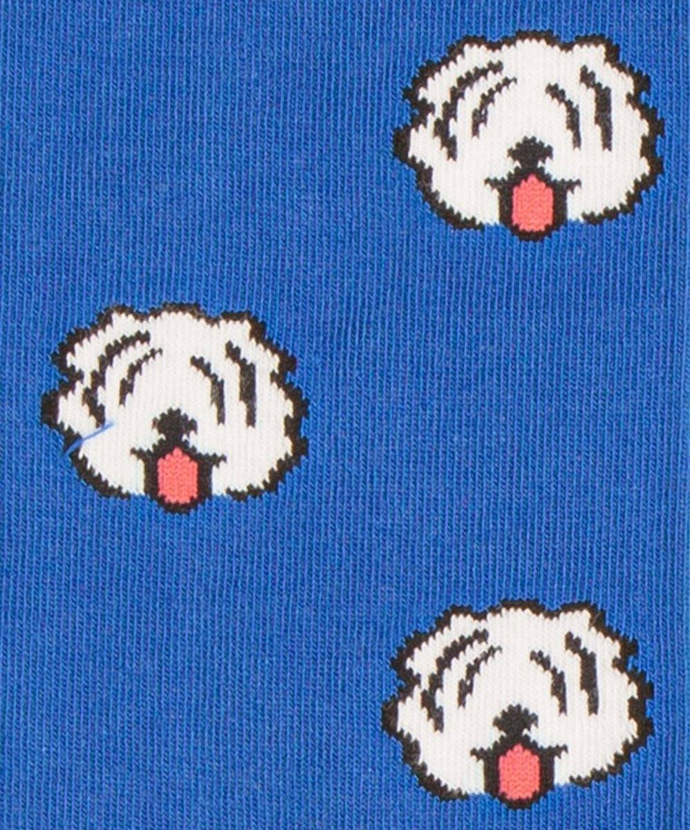 Fido Socken für besseren Hundebefehl und Gehorsam