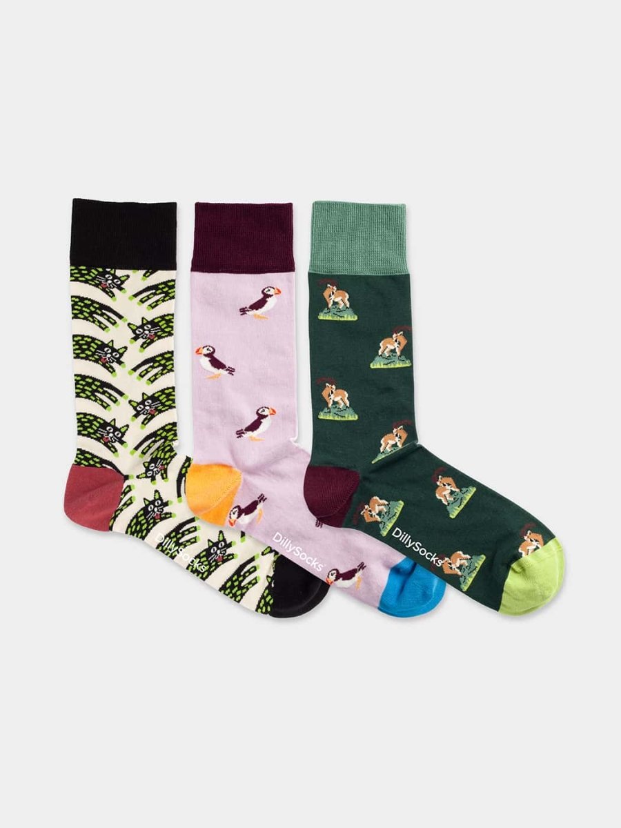 Socken - Geschenkbox Cat & Puffin & Capricorn (3er Box) von DillySocks