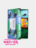 Socken - Geschenkbox Climate Consciousness (3er Box) von DillySocks