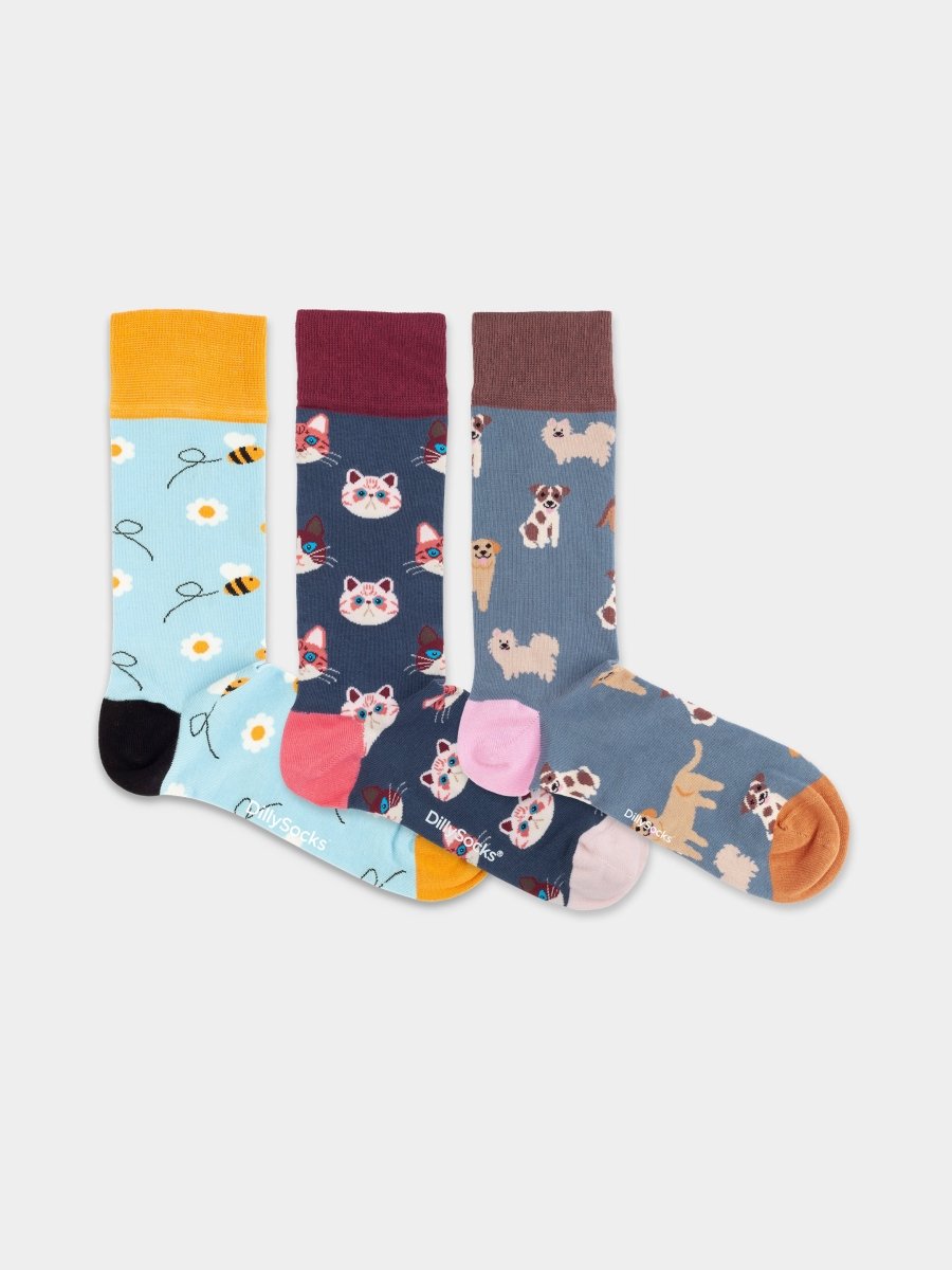 Socken - Geschenkbox Cute Animal Crew (3er Box) von DillySocks